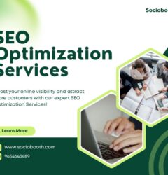 SEO Company In Gurgaon